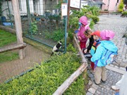 Výlet do ZOO Chleby a Labyrintária Loučeň